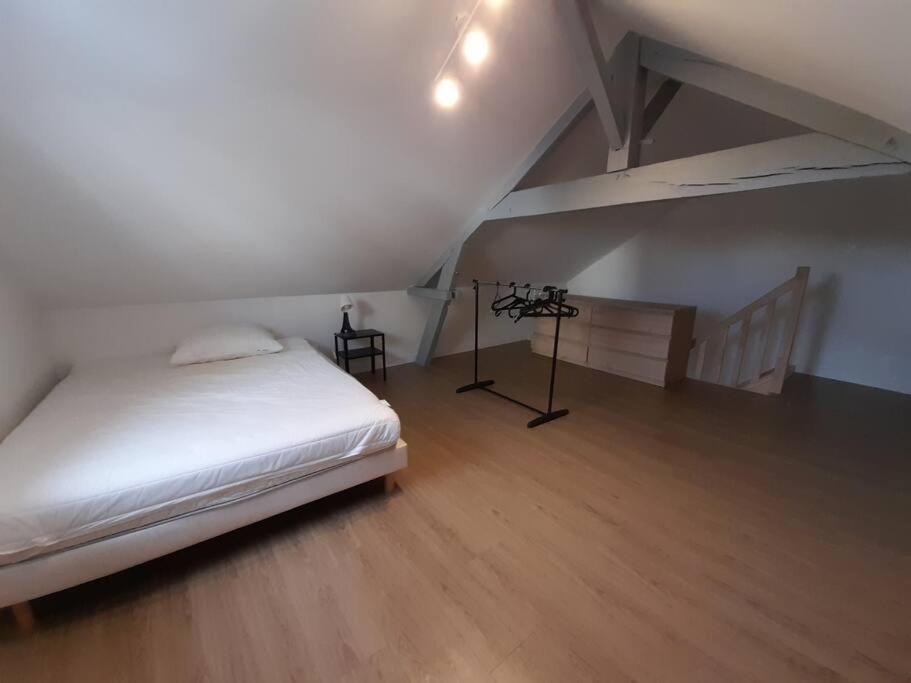 Bel Appartement A 2 Pas Du Chu 伊泽尔 外观 照片